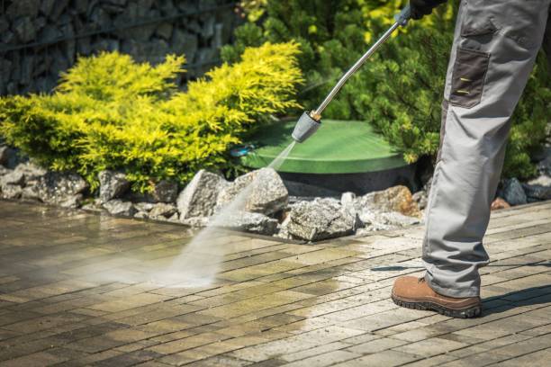 Best Sidewalk and Walkway Cleaning  in Noel, MO