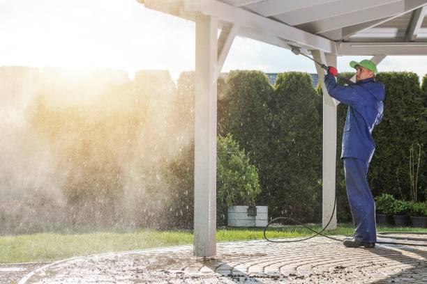Best Animal Enclosure Cleaning  in Noel, MO